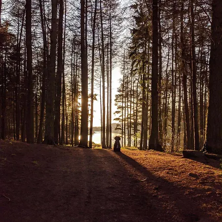 Lejlighed Driftwood *