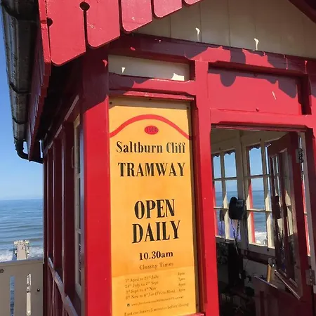 Driftwood * Saltburn-by-the-Sea