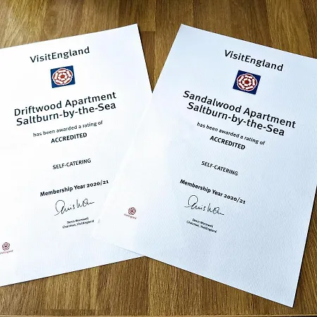 Driftwood Saltburn-by-the-Sea