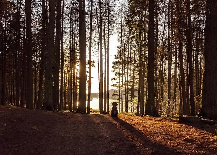 Lägenhet Driftwood *