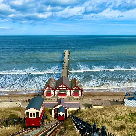 Driftwood Saltburn-by-the-Sea