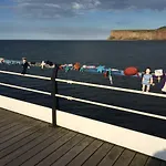 Driftwood * Saltburn-by-the-Sea